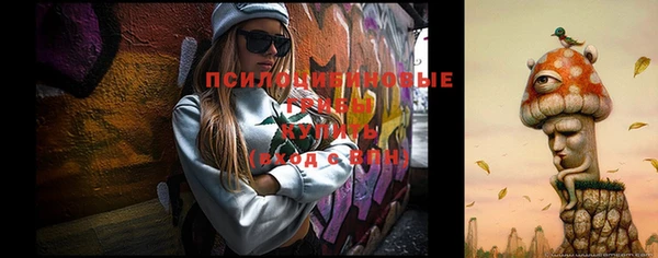 spice Волосово