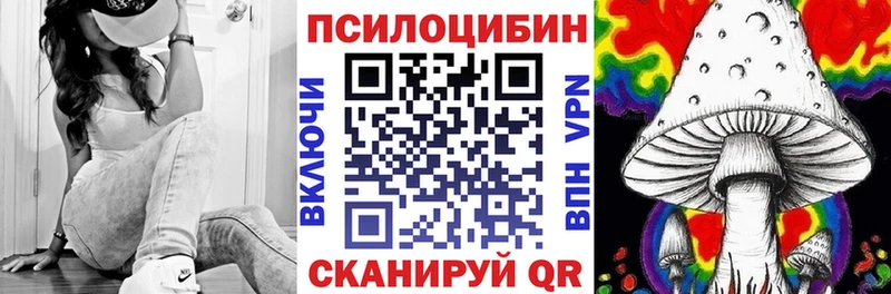Псилоцибиновые грибы Psilocybe  Змеиногорск 